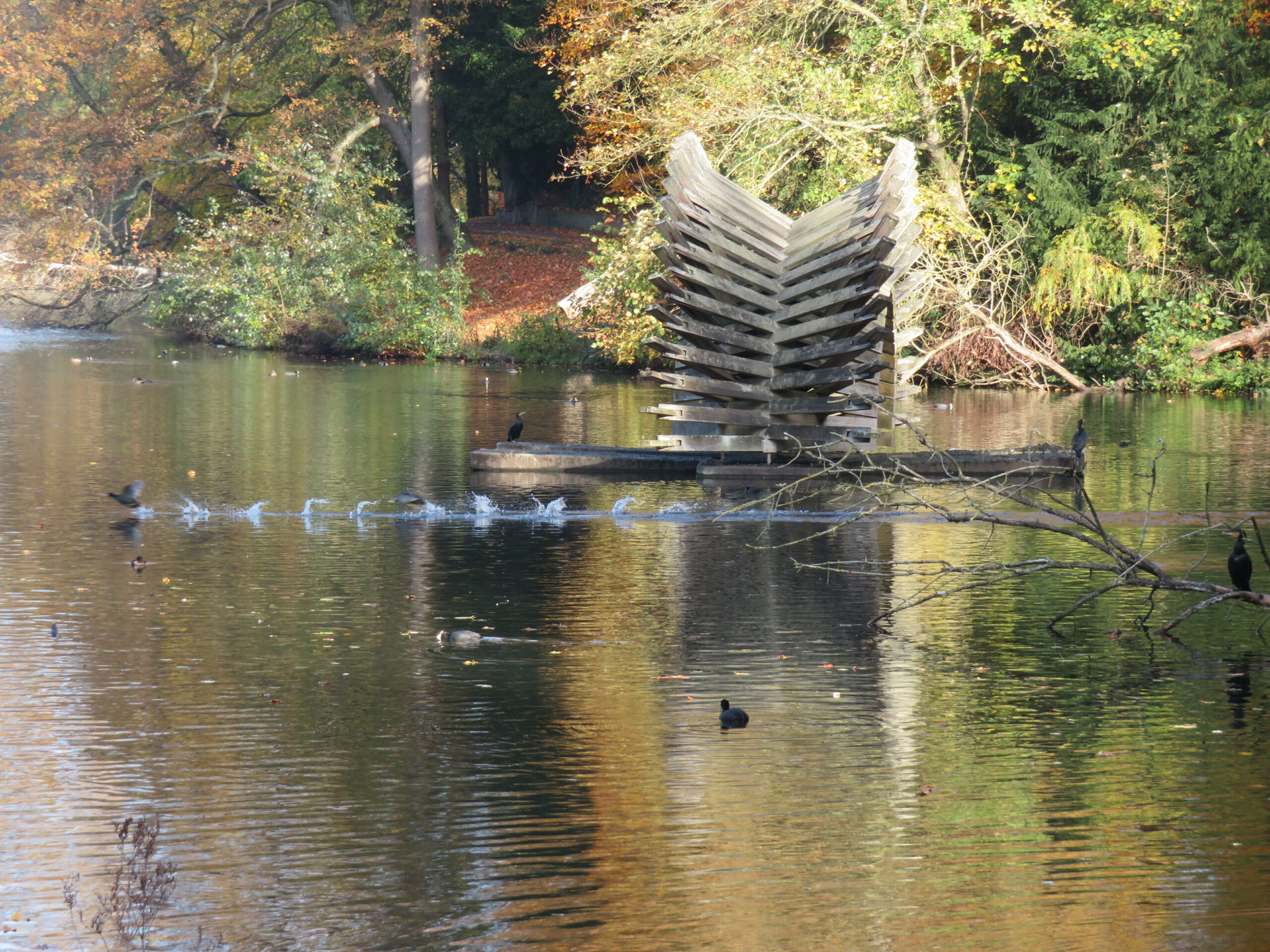 Observer les oiseaux